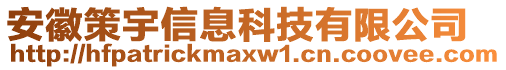 安徽策宇信息科技有限公司