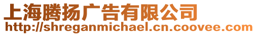 上海騰揚(yáng)廣告有限公司