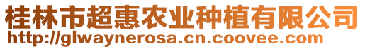 桂林市超惠农业种植有限公司