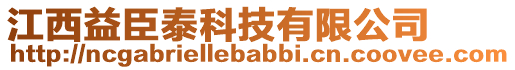 江西益臣泰科技有限公司