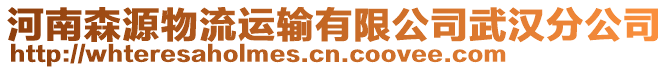 河南森源物流運(yùn)輸有限公司武漢分公司