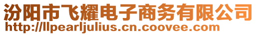 汾陽市飛耀電子商務有限公司