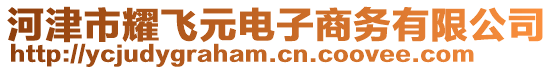 河津市耀飛元電子商務(wù)有限公司