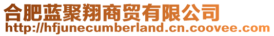 合肥藍(lán)聚翔商貿(mào)有限公司