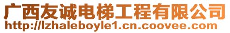 廣西友誠電梯工程有限公司