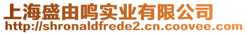 上海盛由鳴實業(yè)有限公司