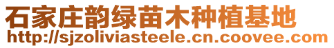 石家庄韵绿苗木种植基地