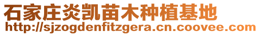 石家莊炎凱苗木種植基地