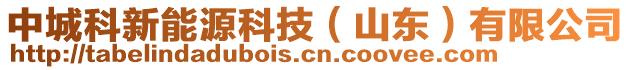 中城科新能源科技（山东）有限公司