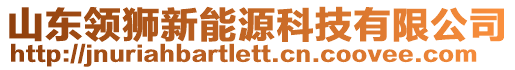 山東領獅新能源科技有限公司