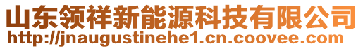 山东领祥新能源科技有限公司