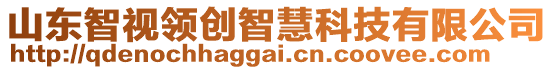 山東智視領(lǐng)創(chuàng)智慧科技有限公司