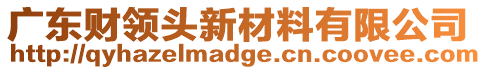 廣東財(cái)領(lǐng)頭新材料有限公司