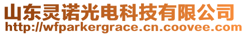 山東靈諾光電科技有限公司