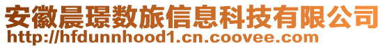 安徽晨璟數(shù)旅信息科技有限公司