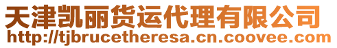 天津凱麗貨運(yùn)代理有限公司