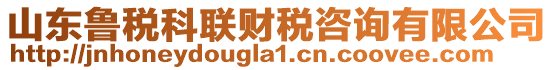 山東魯稅科聯(lián)財稅咨詢有限公司