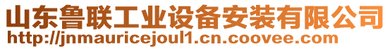 山東魯聯(lián)工業(yè)設(shè)備安裝有限公司