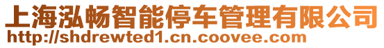 上海泓暢智能停車管理有限公司