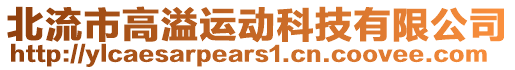 北流市高溢运动科技有限公司