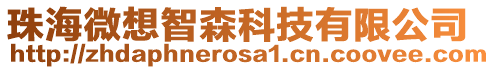 珠海微想智森科技有限公司