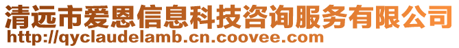 清遠(yuǎn)市愛(ài)恩信息科技咨詢服務(wù)有限公司