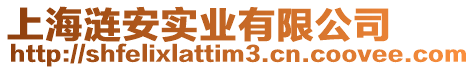 上海漣安實(shí)業(yè)有限公司