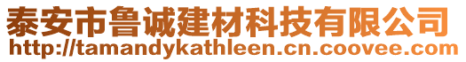 泰安市魯誠建材科技有限公司