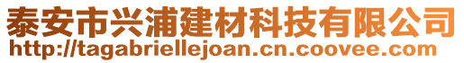 泰安市興浦建材科技有限公司