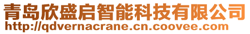 青島欣盛啟智能科技有限公司