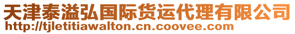 天津泰溢弘國際貨運(yùn)代理有限公司