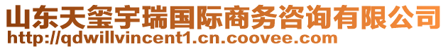 山東天璽宇瑞國(guó)際商務(wù)咨詢有限公司