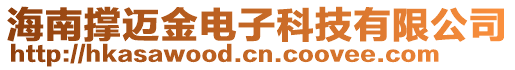 海南撐邁金電子科技有限公司