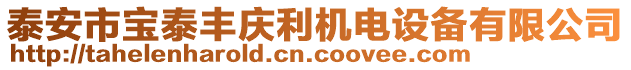 泰安市寶泰豐慶利機電設備有限公司