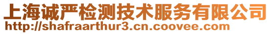 上海誠(chéng)嚴(yán)檢測(cè)技術(shù)服務(wù)有限公司