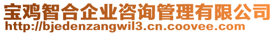 寶雞智合企業(yè)咨詢管理有限公司