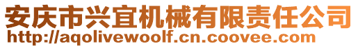 安慶市興宜機(jī)械有限責(zé)任公司