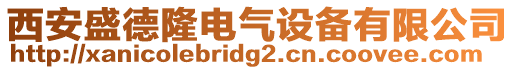 西安盛德隆电气设备有限公司