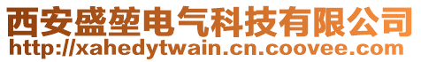 西安盛堃电气科技有限公司