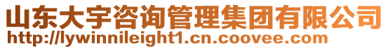 山東大宇咨詢管理集團(tuán)有限公司