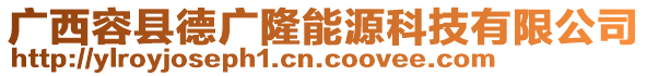 广西容县德广隆能源科技有限公司