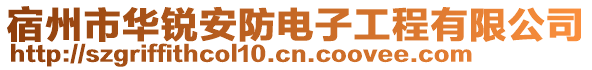 宿州市華銳安防電子工程有限公司