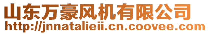 山東萬豪風(fēng)機(jī)有限公司