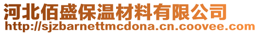 河北佰盛保溫材料有限公司