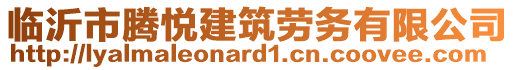 臨沂市騰悅建筑勞務(wù)有限公司