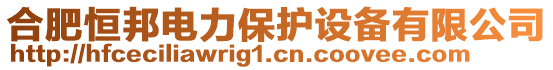 合肥恒邦電力保護設(shè)備有限公司