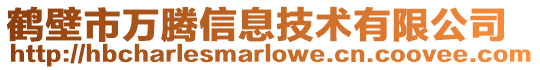 鹤壁市万腾信息技术有限公司