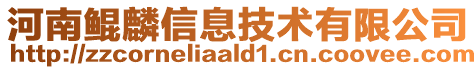 河南鯤麟信息技術有限公司