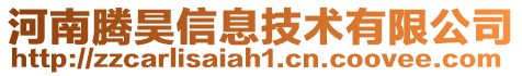 河南騰昊信息技術有限公司