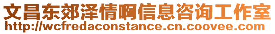 文昌東郊澤情啊信息咨詢工作室